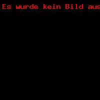 NDM Halle - Michel Meißner _1